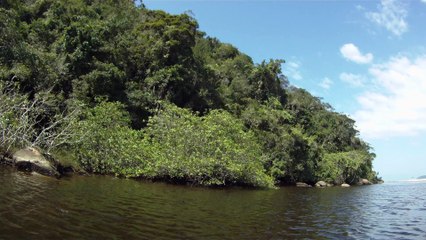 Rio Puruba, Natureza Selvagem, Rio Quiririm, Ubatuba, SP, Brasil, Marcelo Ambrogi, 24 de abril de 2015, (003)