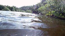 Rio Puruba, Natureza Selvagem, Rio Quiririm, Ubatuba, SP, Brasil, Marcelo Ambrogi, 24 de abril de 2015, (4)