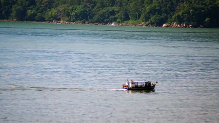 Rio Puruba, Natureza Selvagem, Rio Quiririm, Ubatuba, SP, Brasil, Marcelo Ambrogi, 24 de abril de 2015, (23)