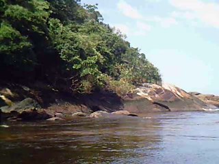 Rio Puruba, Natureza Selvagem, Rio Quiririm, Ubatuba, SP, Brasil, Marcelo Ambrogi, 24 de abril de 2015, (26)
