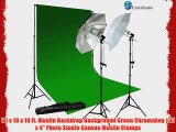 Limostudio 10'x10' Green Chromakey backdrop background with black/silver and white Umbrella