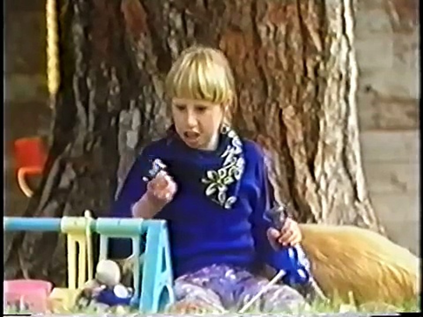 ⁣Animal Miracles - seen on Animal Planet - (Miracle Pets on PAX)