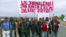 Campesinos exigen en México fin de 