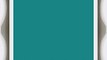 Savage Seamless Background Paper 107 wide x 12 yards Teal #68