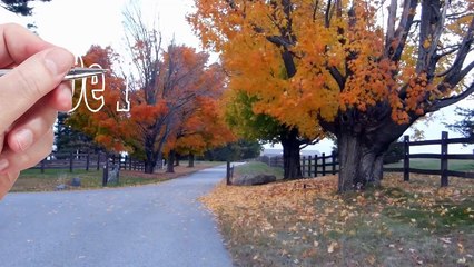 Dentist Emergency, Huntsville Alabama