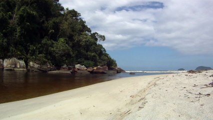 Rio Puruba, Natureza Selvagem, Rio Quiririm, Ubatuba, SP, Brasil, Marcelo Ambrogi, 24 de abril de 2015, (51)