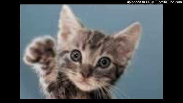 夢はひそかに/シンデレラ/A Dream is a Wish Your Heart Makes/Cinderella/ピアノ 高橋丈太郎