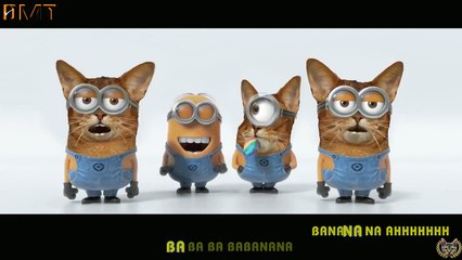 Engsub Despicable Me 2   Minions Banana Song Cats Version