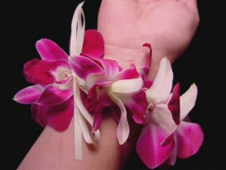 HeiTahiti/collier defleurs/flower collar
