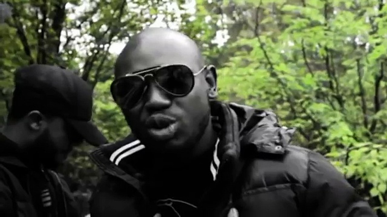 Sexion D'Assaut - Instinct de survie