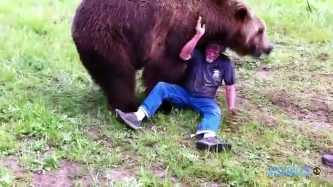 Animals Attacks Compilation - HD