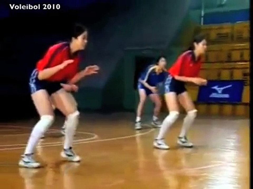Entrenamiento Básico en el Voleibol