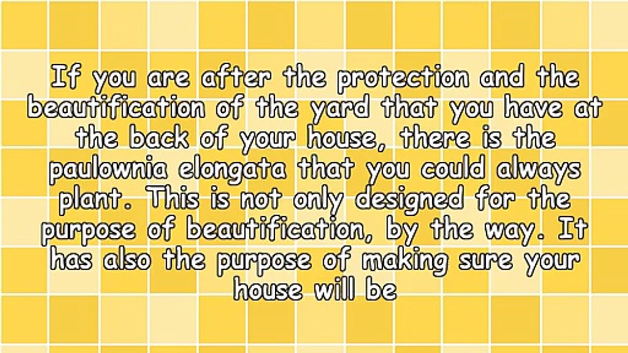 Paulownia Elongata And Factors To Take Account