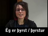 Common Phrases in Icelandic Language : Restaurant Phrases in Icelandic Language