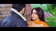 Punjabian Da King | New Full Punjabi Movie | Part 4 Of 7 | Latest Punjabi Movies 2015 | Punjabi Action Films