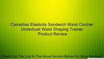 Camellias Elasticity Sandwich Waist Cincher Underbust Waist Shaping Trainer Review