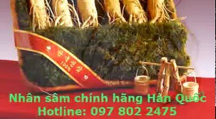 Những điều kiêng kỵ cơ bản khi dùng nhân sâm