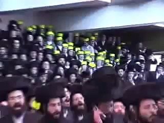 ברית מילה ויזניץ פרמישלאן