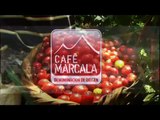 DO Café Marcala HONDURAS