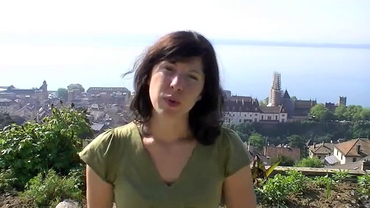 Comportementaliste canin: Signaux d'apaisement chez le chien