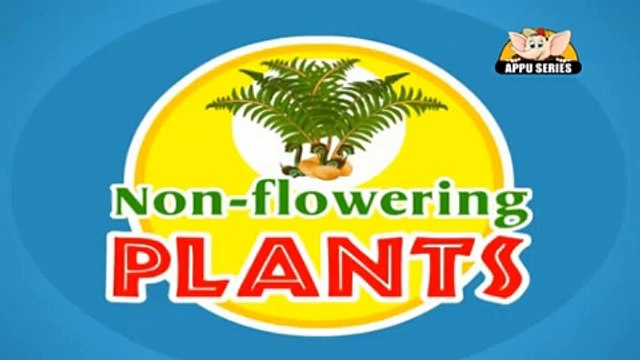 Learn about Plants in Hindi - Trees