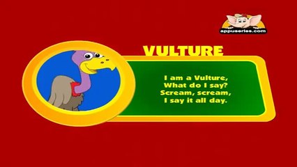 Animal Sounds in Hindi - Vulture