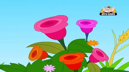 Nursery Rhymes - Hindi Nursery Rhymes - Gulab Ka Phool