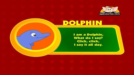 Animal Sounds in Hindi - Dolphin