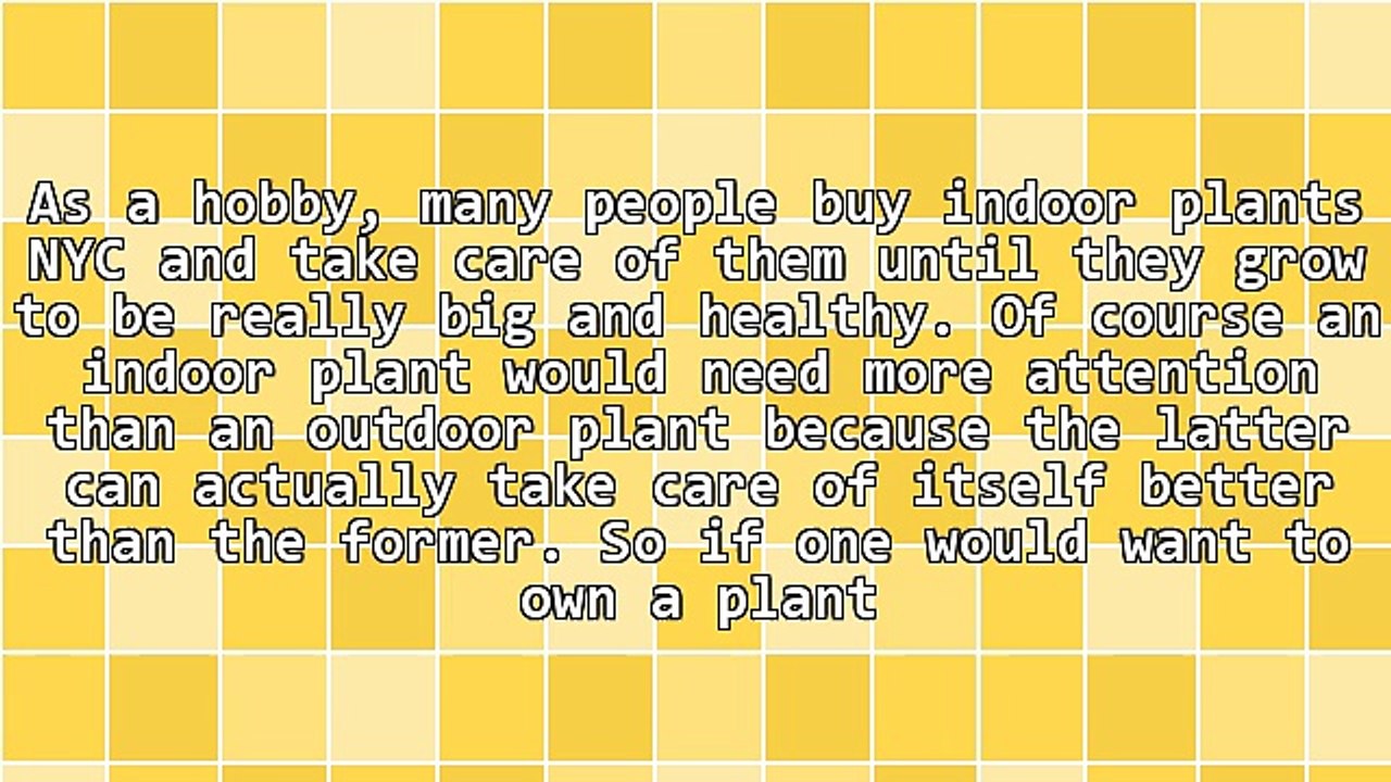 How To Take Care Of Indoor Plants NYC