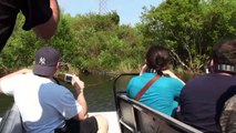 Florida Airboat Ride at Boggy Creek Airboat Rides