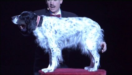 Franck Marvin and Lady the Dog in the NGK Theatre Osaka Japan Variety Act Comedy Dog Show Performer