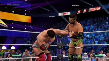 Wrestlemania 31 part 5 [NXT Championship]