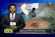 Piura: reportan aumento del número de víctimas mortales por dengue
