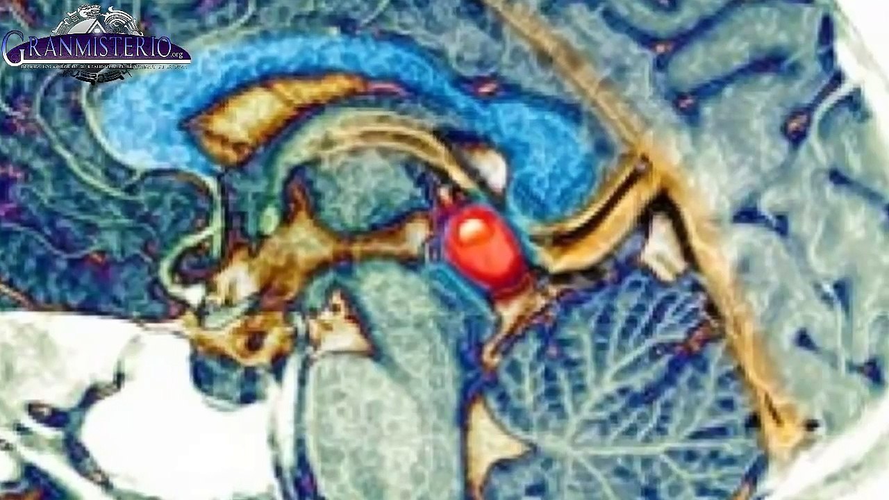 Los secretos de la glándula pineal y cómo estimularla