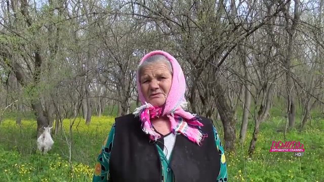 Как Ткачев вышел сухим из воды