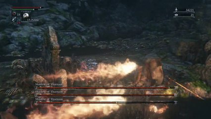 Bloodborne Shadow of Yharnam 1st