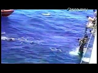 Girl Attacked By Shark! - Shark Week