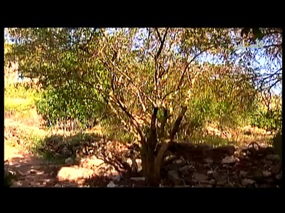 فلسطين هذا الصباح ج2 - 25/4/2015