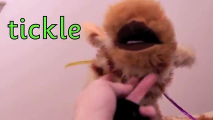 Geraldine the Giraffe learns /-le/