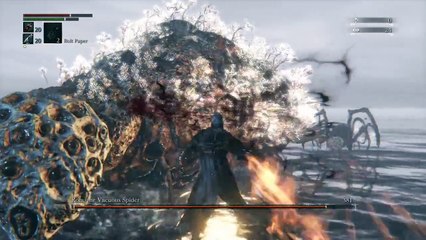 Bloodborne Rom, the Vacuous Spider
