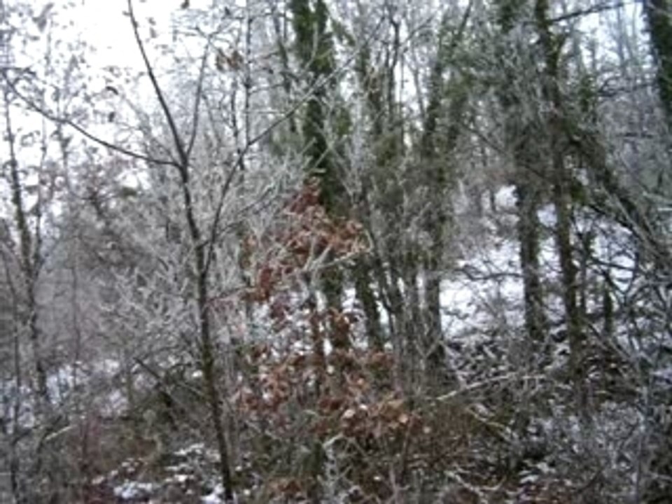 Ambiance Chasse hiver 2007