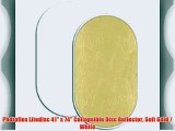 Photoflex Litedisc 41 x 74 Collapsible Disc Reflector Soft Gold / White