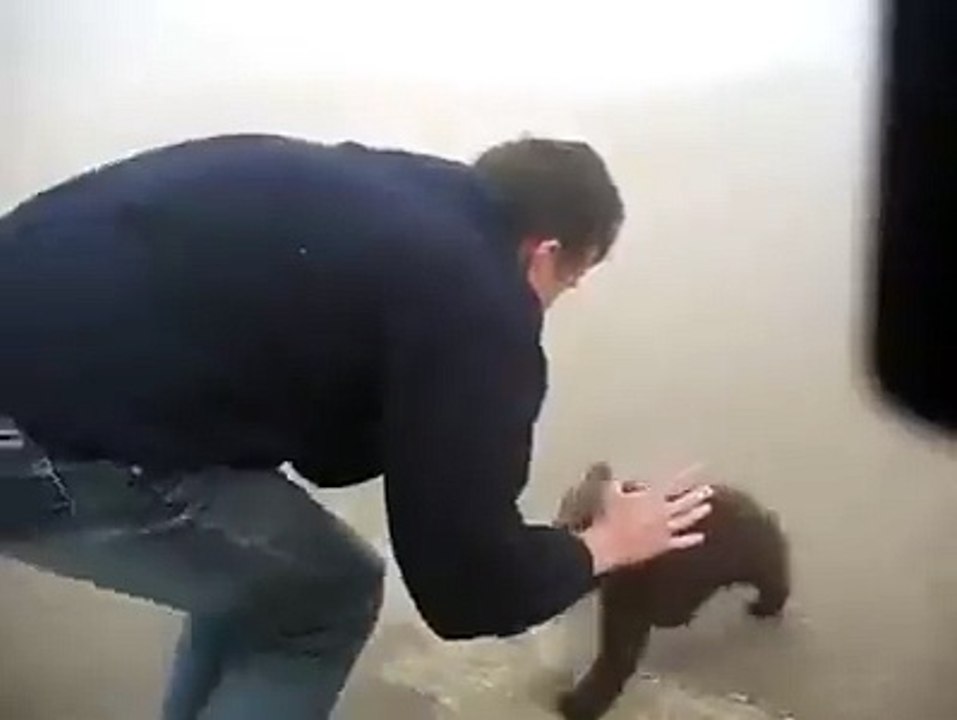 Beer Attack