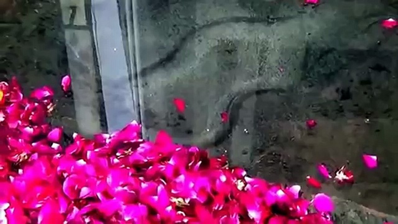New Merical 2015 Allah Ki Qudrat -