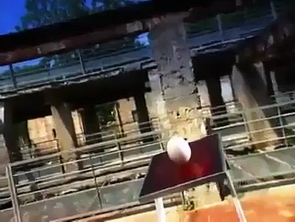 How it's Made Chick