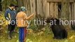 Bear Attack: Do Not Hand Feed a Bear