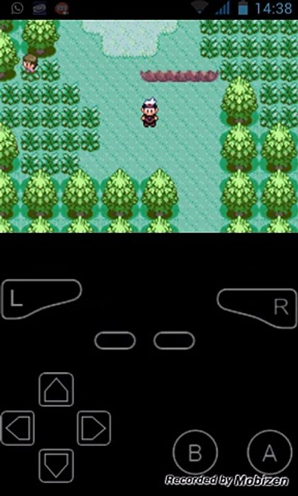 pokemon rubin#02