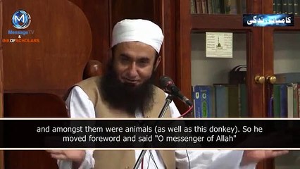 Even Animal Loves Muhammad PBUH, Maulana Tariq Jameel