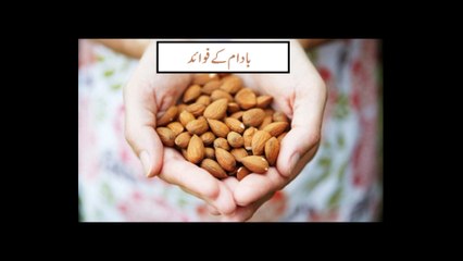 Télécharger la video: Badam ke faide in urdu Almonds Benefits