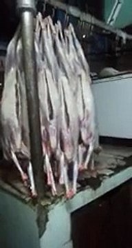 Shame On Them - Please Be Aware Of This Before Buying Meat From Markets